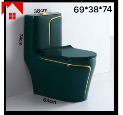 Bồn cầu xanh viền vàng giá rẻ tại bình dương